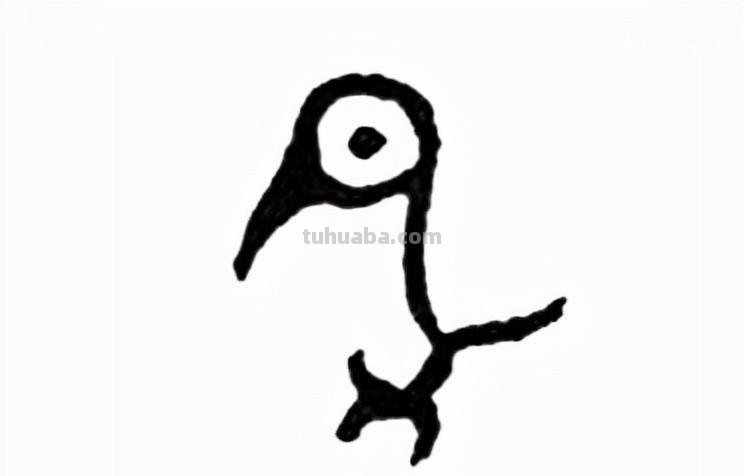 鸟：汉字的起源与演变（小学一年级语文生字 第34集）