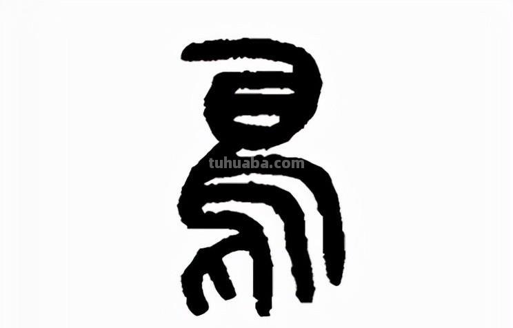 鸟：汉字的起源与演变（小学一年级语文生字 第34集）
