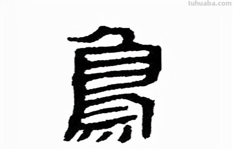 鸟：汉字的起源与演变（小学一年级语文生字 第34集）
