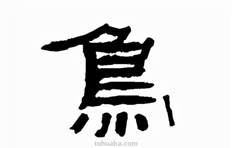 鸟：汉字的起源与演变（小学一年级语文生字 第34集）