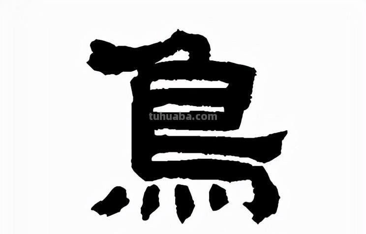 鸟：汉字的起源与演变（小学一年级语文生字 第34集）