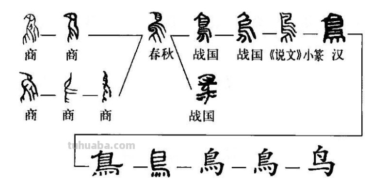 鸟：汉字的起源与演变（小学一年级语文生字 第34集）