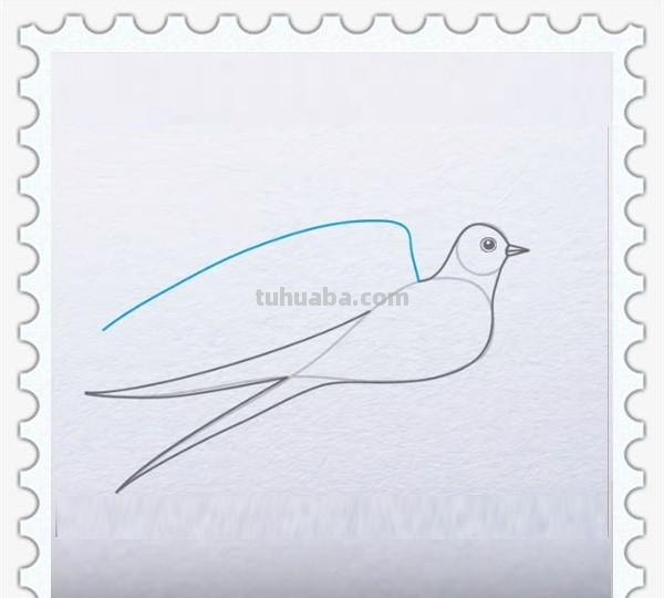 儿童简笔画精选「鸟」-燕子(Swallow)的绘画步骤 儿童简笔画精选「鸟」-燕子(Swallow)的绘画步骤