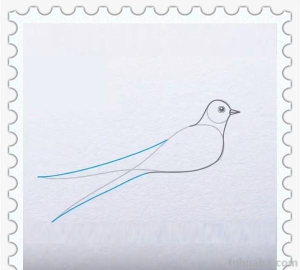 儿童简笔画精选「鸟」-燕子(Swallow)的绘画步骤 儿童简笔画精选「鸟」-燕子(Swallow)的绘画步骤