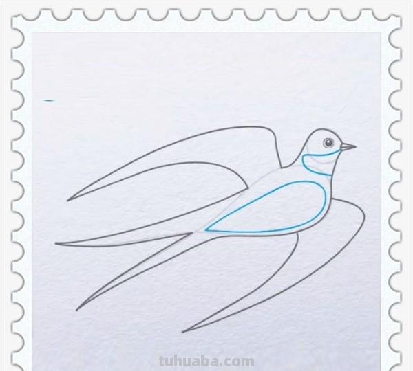儿童简笔画精选「鸟」-燕子(Swallow)的绘画步骤 儿童简笔画精选「鸟」-燕子(Swallow)的绘画步骤
