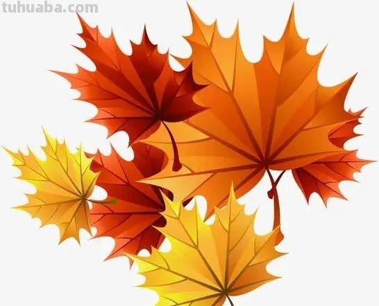 树叶的画法