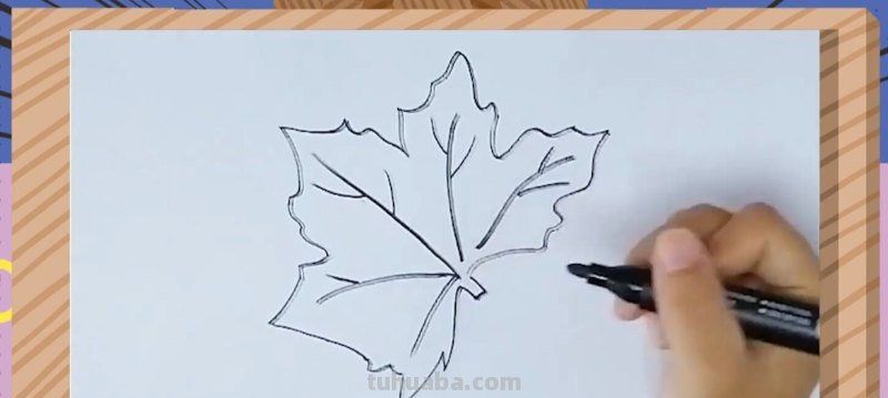 树叶的画法
