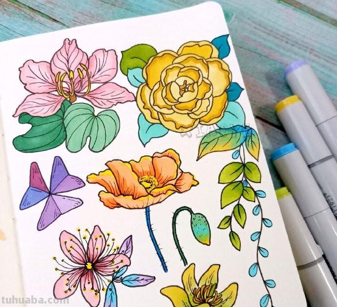 简约实用的小清新植物简笔画