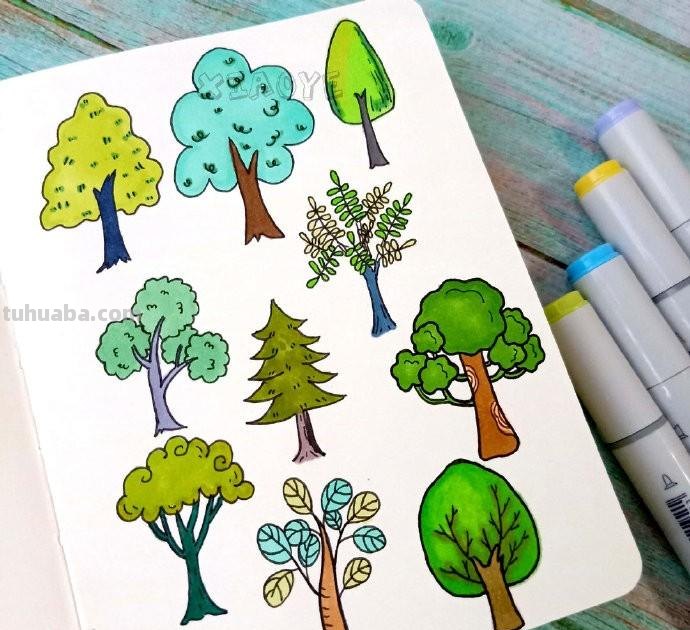 简约实用的小清新植物简笔画