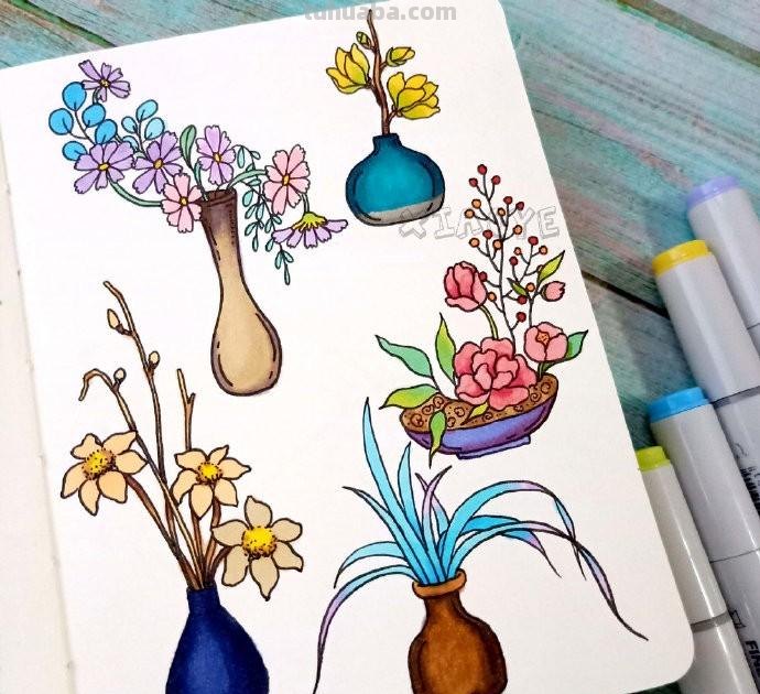 简约实用的小清新植物简笔画