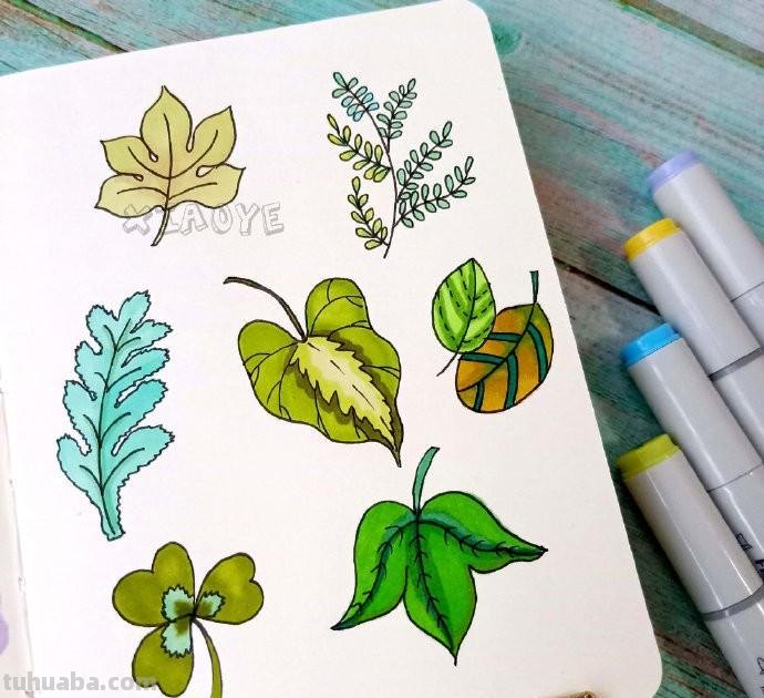 简约实用的小清新植物简笔画