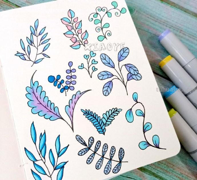 简约实用的小清新植物简笔画