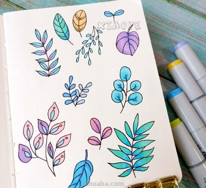 简约实用的小清新植物简笔画