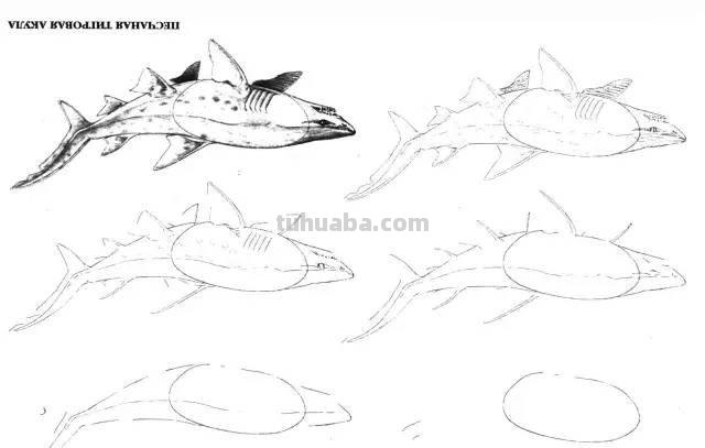 简笔画大全：50种海洋生物画法