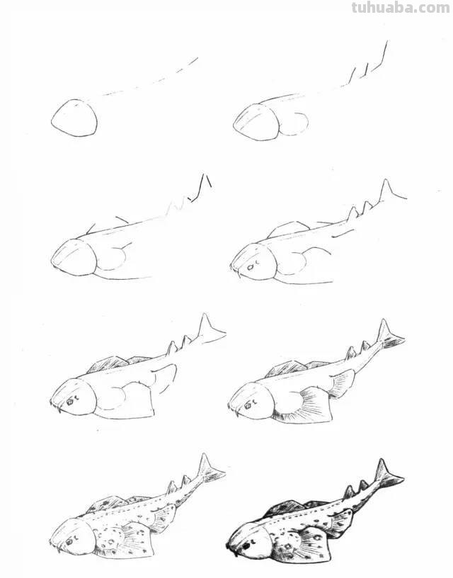 简笔画大全：50种海洋生物画法