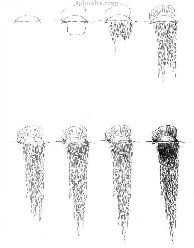 简笔画大全：50种海洋生物画法