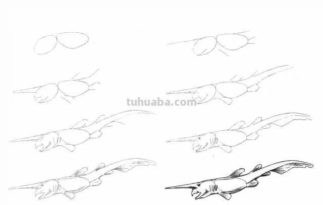 简笔画大全：50种海洋生物画法