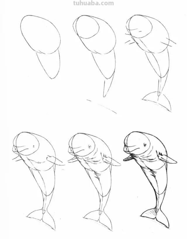 简笔画大全：50种海洋生物画法