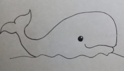 鲸鱼简笔画
