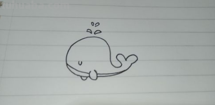 鲸鱼简笔画