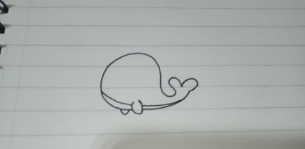 鲸鱼简笔画
