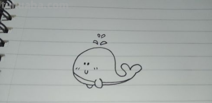 鲸鱼简笔画