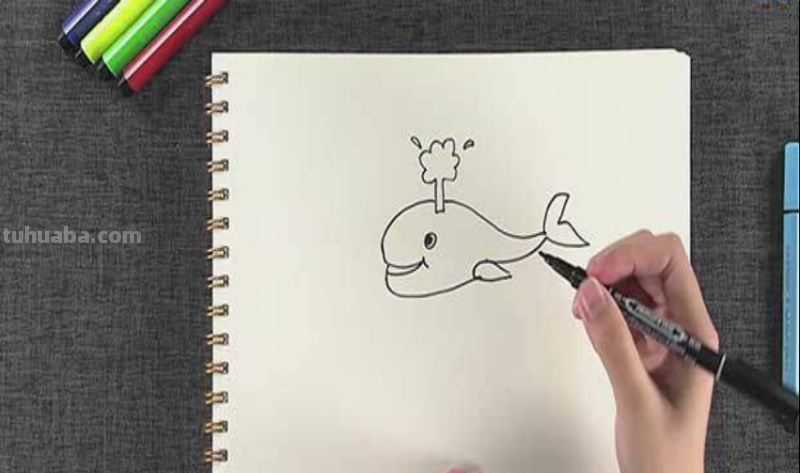 美观的鲸怎么画简笔画