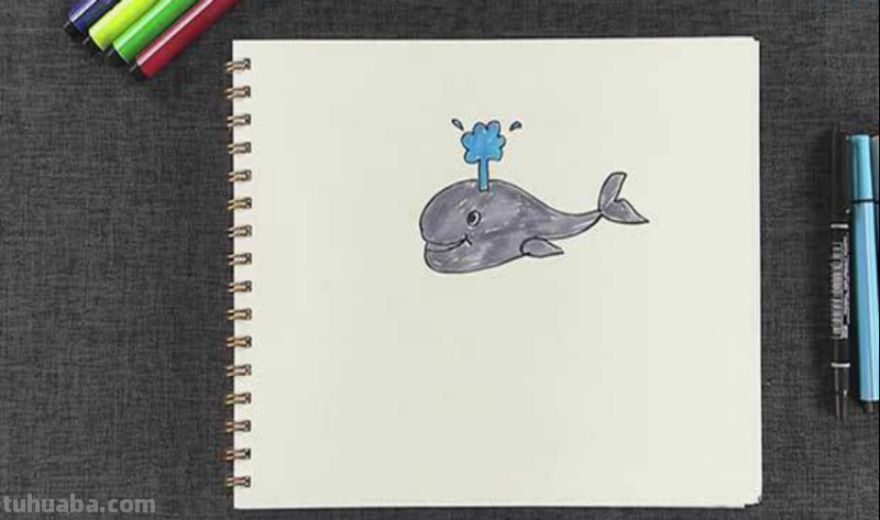 美观的鲸怎么画简笔画