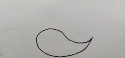 美观的鲸怎么画简笔画