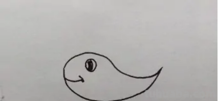 美观的鲸怎么画简笔画