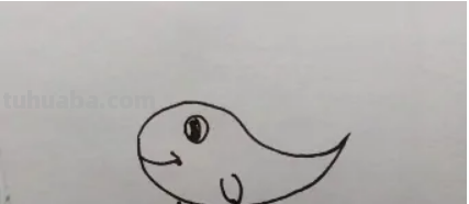 美观的鲸怎么画简笔画