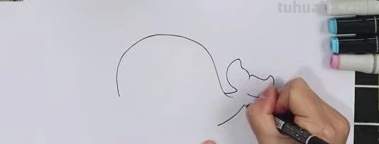 美观的鲸怎么画简笔画