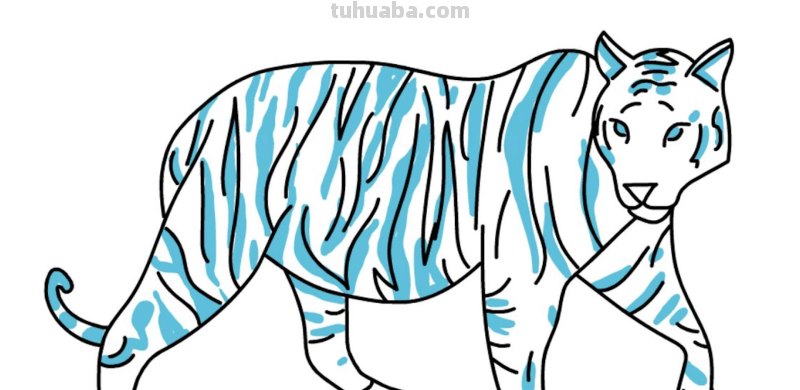 育儿简笔画，如何画一只老虎，亲子绘画素材