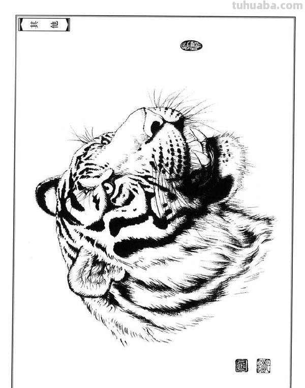 如何把虎画的虎虎生威，画出虎的气势？