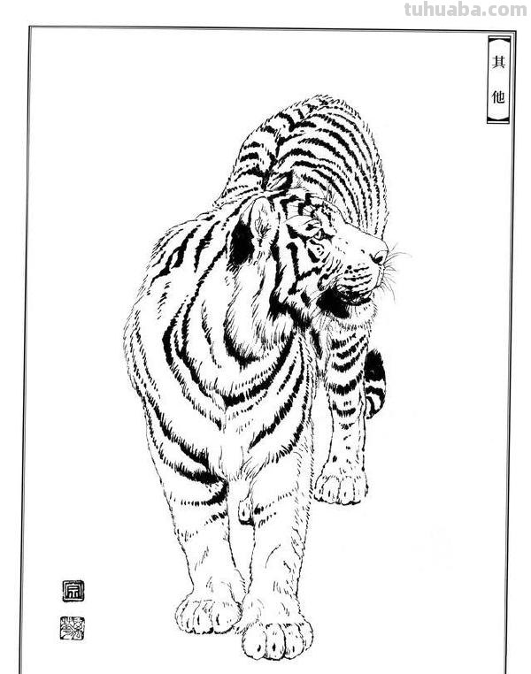 如何把虎画的虎虎生威，画出虎的气势？