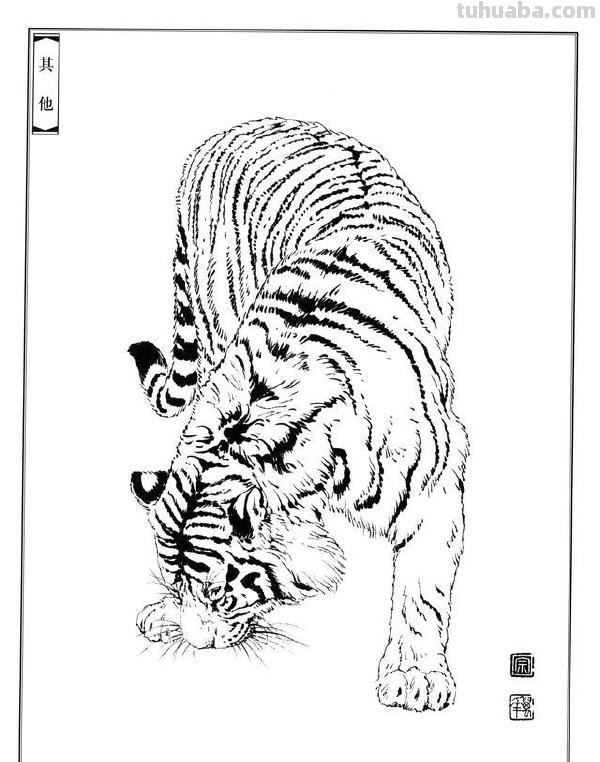 如何把虎画的虎虎生威，画出虎的气势？