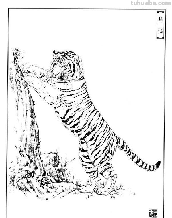 如何把虎画的虎虎生威，画出虎的气势？