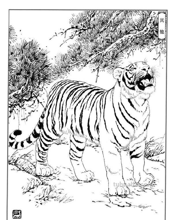 如何把虎画的虎虎生威，画出虎的气势？