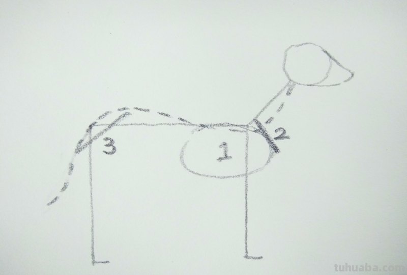六步画一只小狗