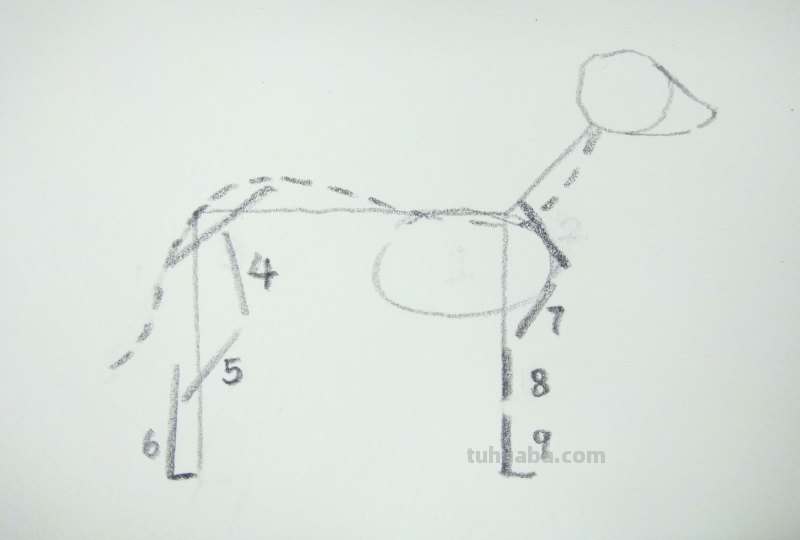 六步画一只小狗