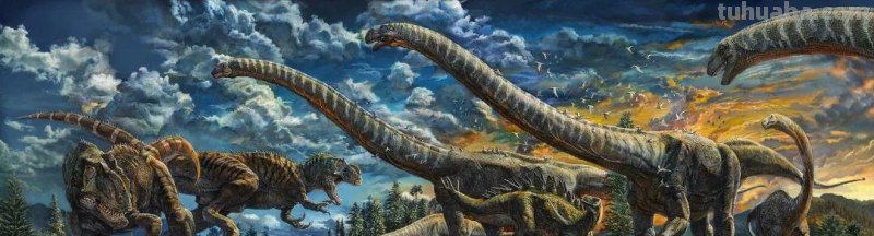 北京日报人物专访丨赵闯：画科学优雅的恐龙