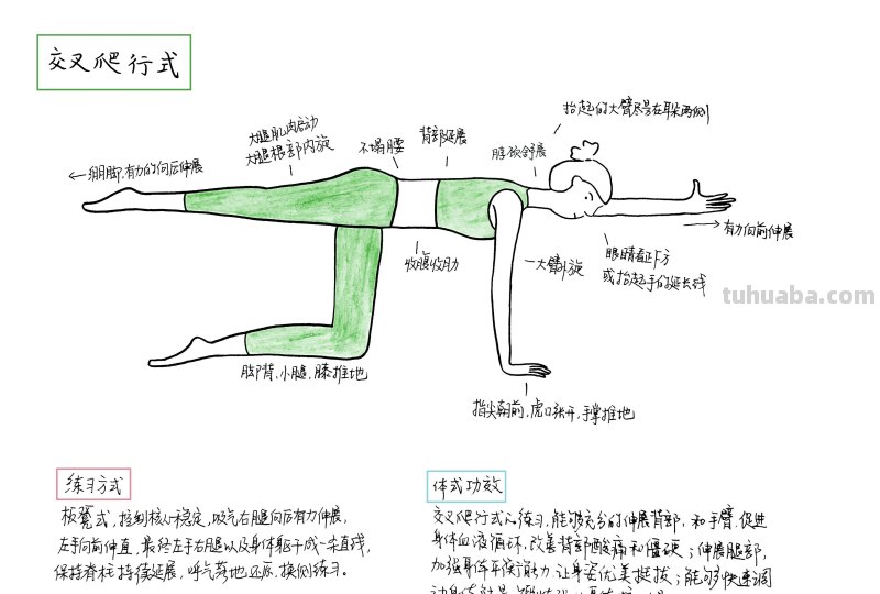 瑜伽笔记，简笔画瑜伽体式35-交叉爬行式
