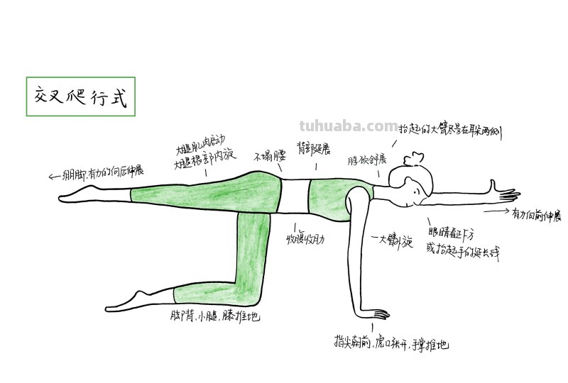 瑜伽笔记，简笔画瑜伽体式35-交叉爬行式