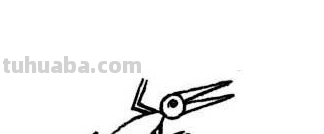 简笔画教程：翼龙简笔画画法步骤