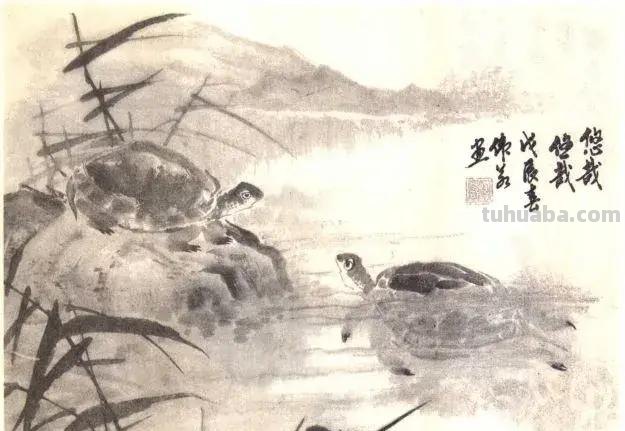 国画技法 - 怎样画龟