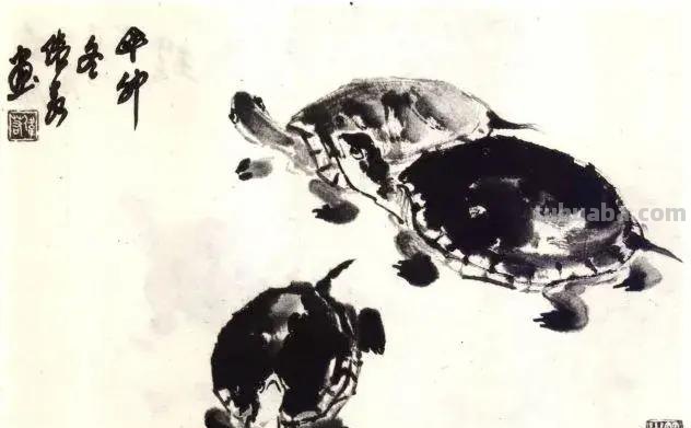 国画技法 - 怎样画龟