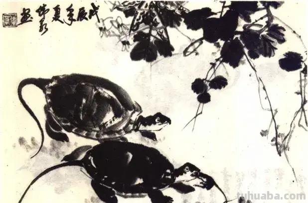 国画技法 - 怎样画龟