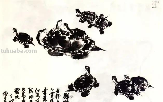 国画技法 - 怎样画龟