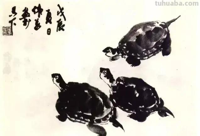 国画技法 - 怎样画龟