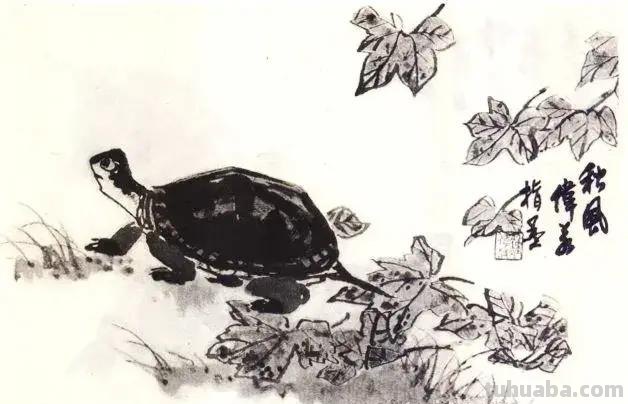 国画技法 - 怎样画龟